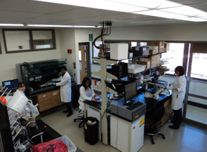 Arnold Group at the University of Wisconsin Milwaukee-Laboratory: Lab